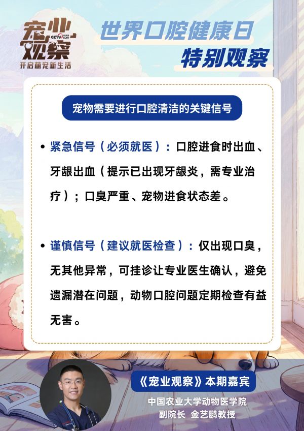 世界口腔健康日特别观察：如何科学守护毛孩子口腔健康？专家帮你划重点！