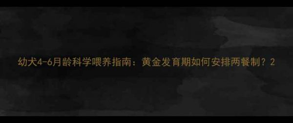 图片 幼犬4-6月龄科学喂养指南：黄金发育期如何安排两餐制？2