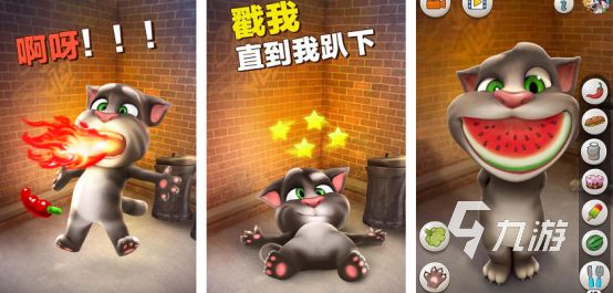 狗狗最爱玩的10种互动游戏推荐｜2025热门狗狗手游合集