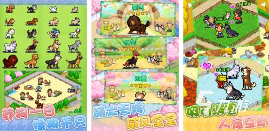 狗狗最爱玩的10种互动游戏推荐｜2025热门狗狗手游合集