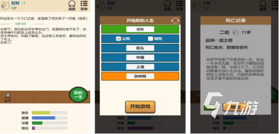 狗狗最爱玩的10种互动游戏推荐｜2025热门狗狗手游合集