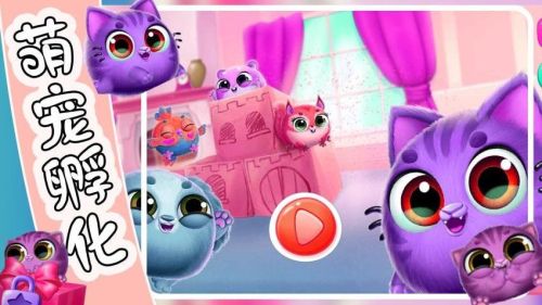 萌宠饲养小屋付费版