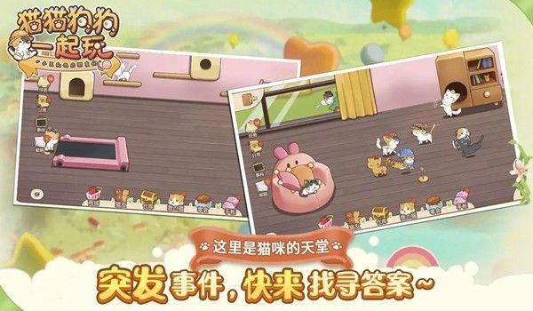 猫猫狗狗一起玩图片1