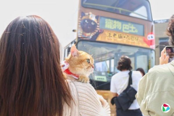 戴庆成:“宠物经济”在香港冒起