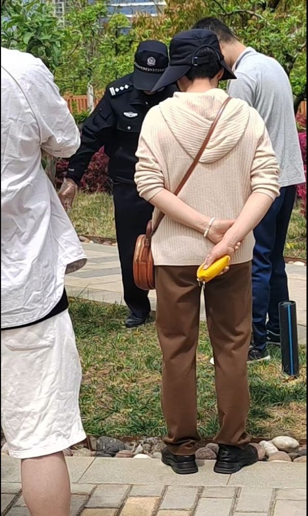 云南一公园疑有人恶意投毒,多只宠物狗死亡!警方介入