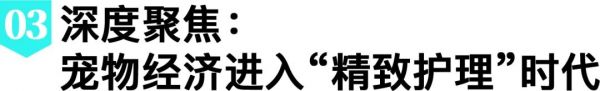 热议！宠物用品、3C等卖家进入TikTok Shop的破局机会点！