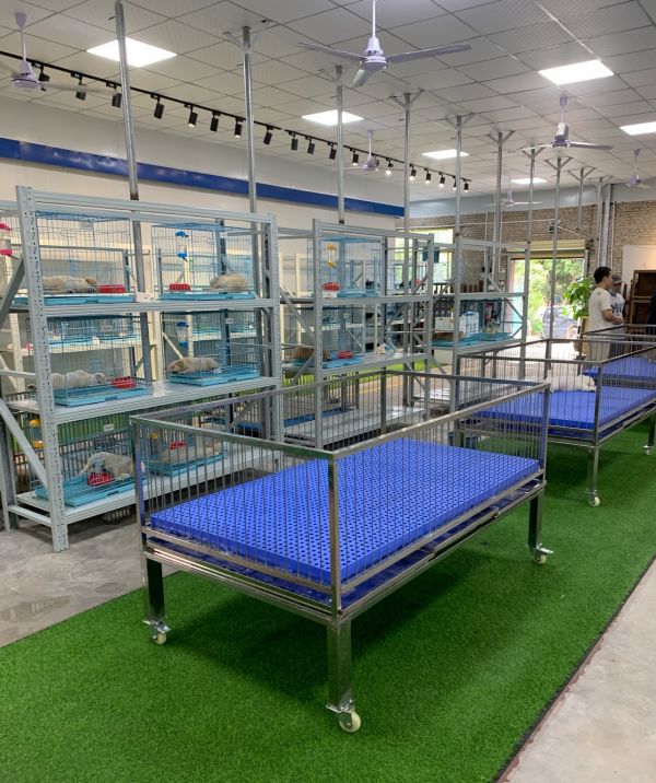 FEA11CD54EF01A321B3702D540DA50D2