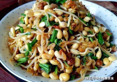 宠物爱猪肺糕，健康美味食谱来啦！