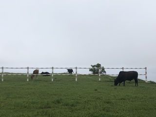 上川岛2日游（佛山出发）