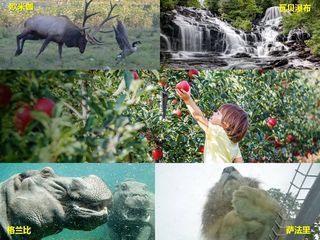 【好旅知时节】加拿大蒙特利尔周边（九月）