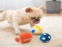 昆明宠物猫饰品 昆明宠物食品与用品服务 专业可靠