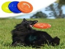 昆明宠物猫饰品 昆明宠物食品与用品 用心服务