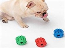 昆明宠物猫饰品 昆明宠物食品与用品 品质当先