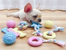 昆明宠物猫饰品 昆明宠物食品与用品 一站式服务