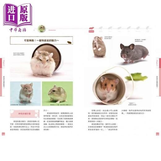 【中商原版】仓鼠完全饲养手册：快来认识你的小伙伴！ 港台原版 大野瑞絵 台湾东贩 宠物 商品图4