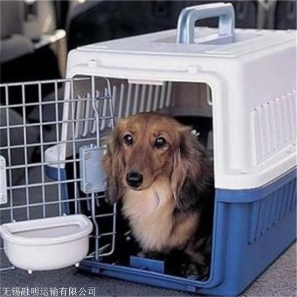淮南 托运活体运输上门接宠