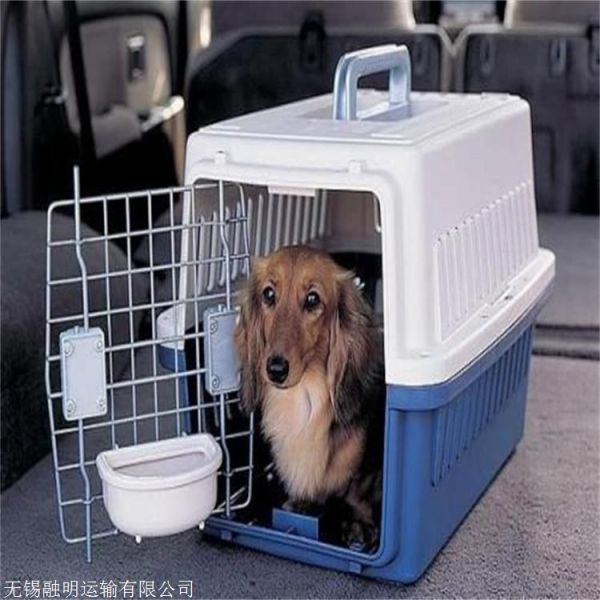 河北邯郸峰峰矿正规宠物托运宠物活体运输直达各个城市