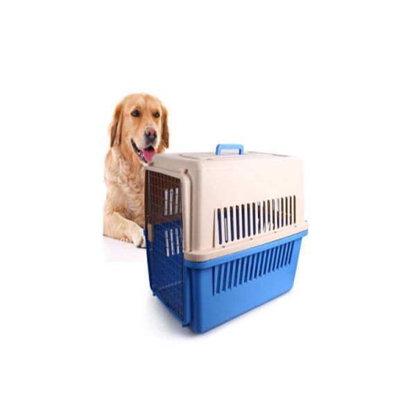 河北邯郸峰峰矿正规宠物托运宠物活体运输直达各个城市