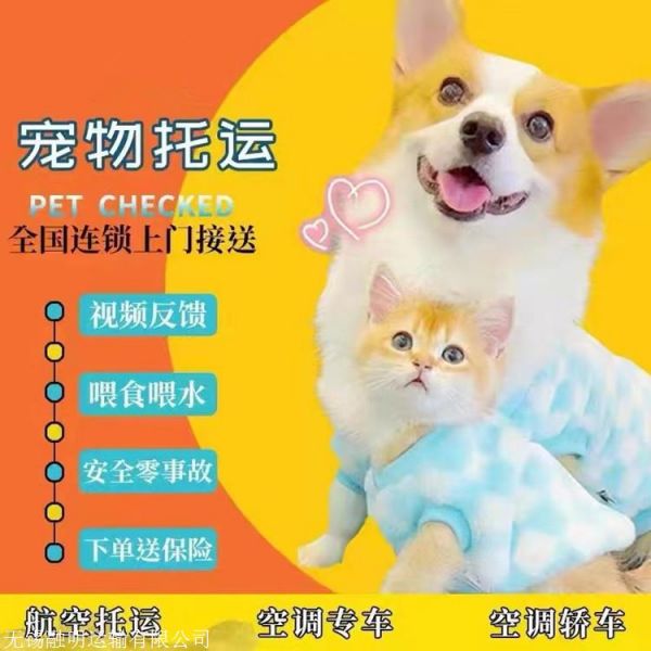 山西运城平陆猫咪宠物托运宠物活体运输直达各个城市