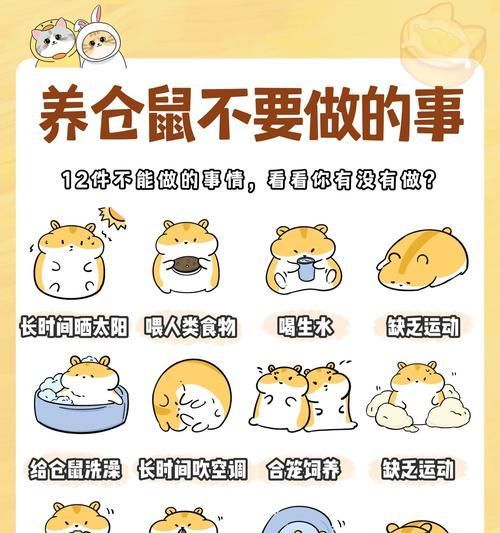 仓鼠日常饮食应该吃什么？如何正确喂养仓鼠？