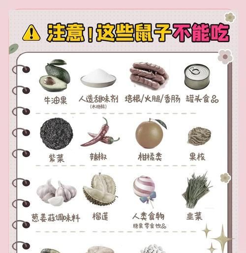 仓鼠日常饮食应该吃什么？如何正确喂养仓鼠？