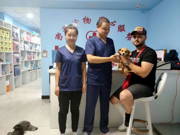温馨专业的宠物医院接诊环境