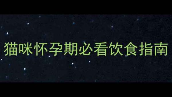 图片 ⬛孕期营养全攻略｜猫咪怀孕期必看饮食指南（附食谱+避坑清单）2