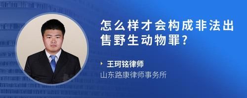 怎么样才会构成非法出售野生动物罪?
