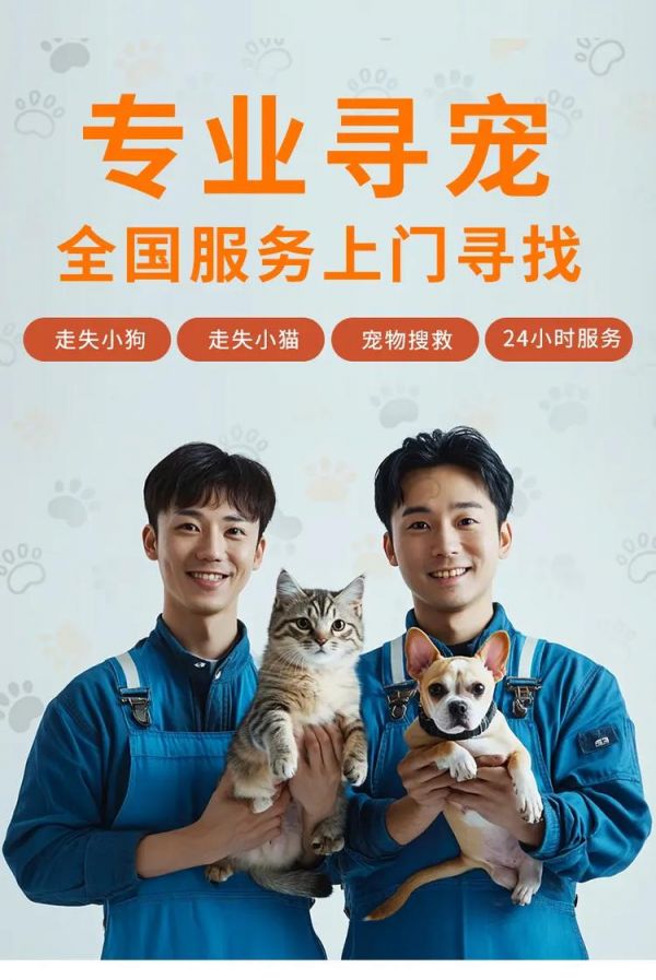 C8B006D332C9363BEDE625D2B8FDCD6B