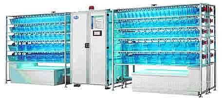 斑马鱼饲养系统