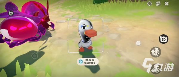 洛克王国鸭吉吉全形态图鉴及进化路线一览