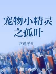 宠物小精灵之孤叶 