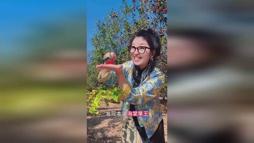 10月2日中国·怀来首届海棠文化节等你来！