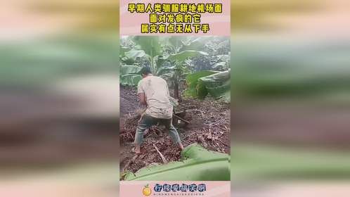 早期人类驯服耕地机场面，面对发疯的它，属实有点无从下手！