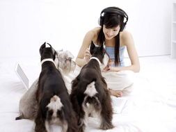 灵缇挑食怎么办？揭秘宠物健康饮食秘诀！