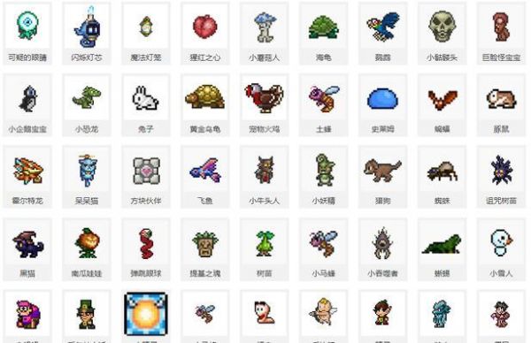 解析泰拉瑞亚宠物鹦鹉的属性及获取方法（探寻泰拉瑞亚中鹦鹉宠物的特点与训练技巧）