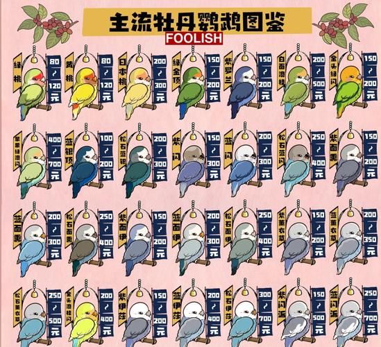 手养鸟多少钱一只_手养鸟价格及虎皮鹦鹉养护寿命