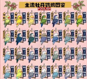 手养鸟多少钱一只_手养鸟价格及虎皮鹦鹉养护寿命