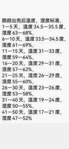 小鹦鹉的体温在多少度左右_小鹦鹉适宜温度及保暖防暑小贴士