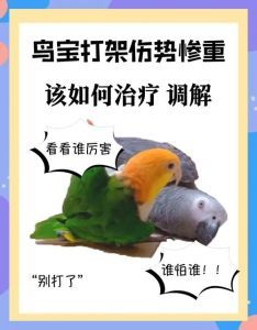 鹦鹉做坏事了怎么惩罚_纠正坏习惯，营造好环境