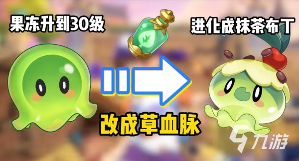 洛克王国世界宠物隐藏进化分支全解析：解锁稀有形态与进阶条件