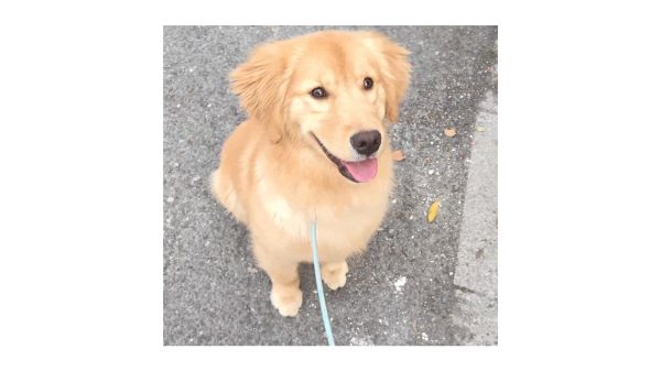 序列 05_compressed (63).gif