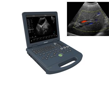 宠物彩超机价格