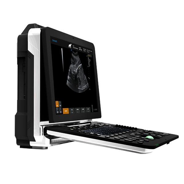 便携式动物B超机