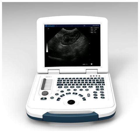 笔记本式动物B超机