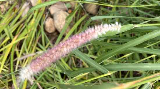 艺名大全好听文艺