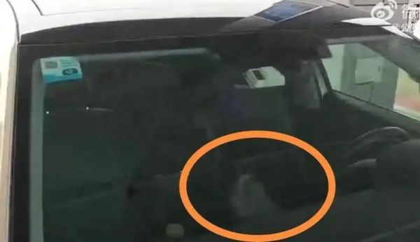 男子驾车返乡途中被猫锁在车外，幸运的是，它又解锁了……