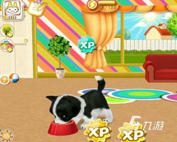 耐玩的养宠物游戏前五 经典的养宠物游戏盘点2026