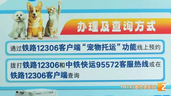 高铁“爱宠行”服务上线 昆明出发360元起！提前两天预约，方式有两种......