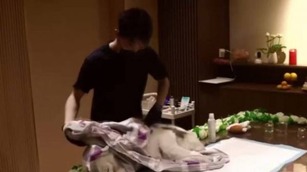 00后宠物殡葬师为上千宠物送别,曾为蜥蜴办葬礼